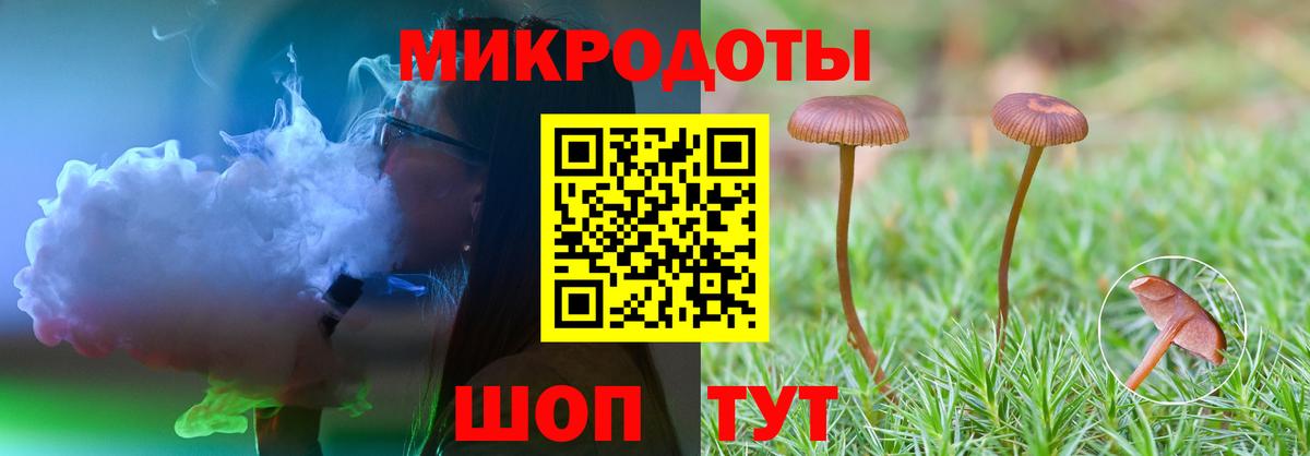 Дальнегорск  Галлюциногенные грибы мицелий  цена наркотик  Вход с VPN 