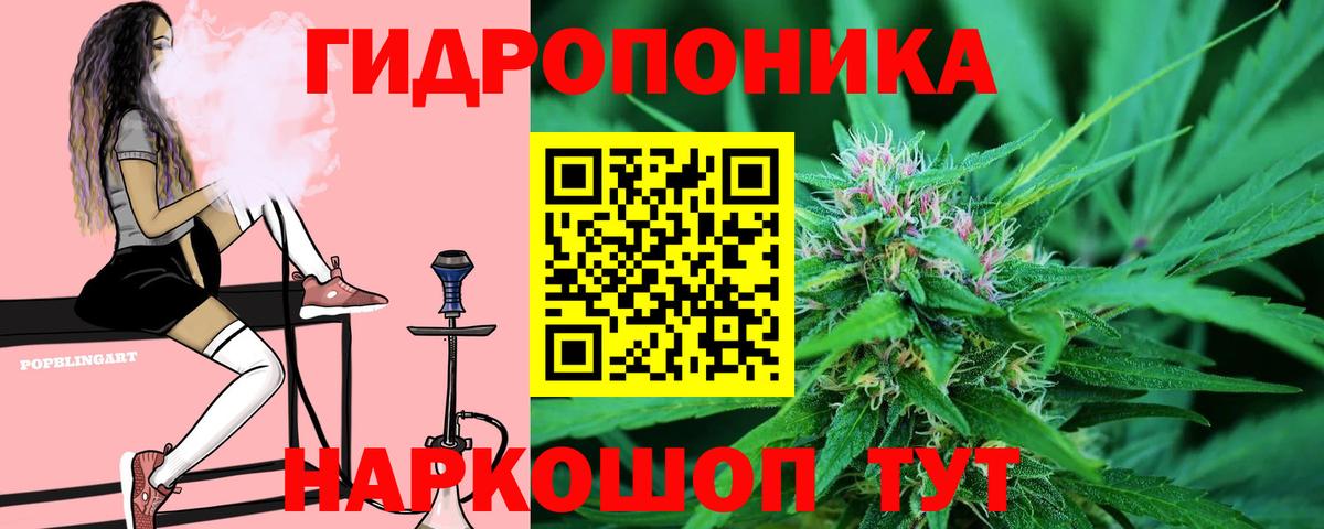 Бошки марихуана Ganja Дальнегорск